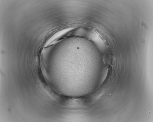 X0000090890748200708101402