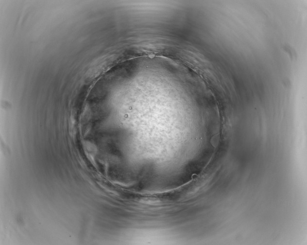 X0000090890749200708101402