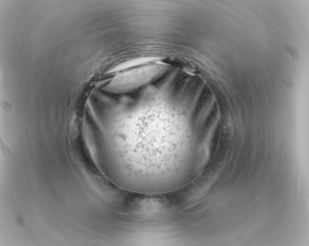 X0000090890751200708101402