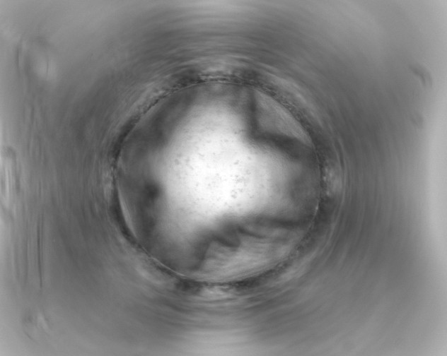 X0000090890753200708101402