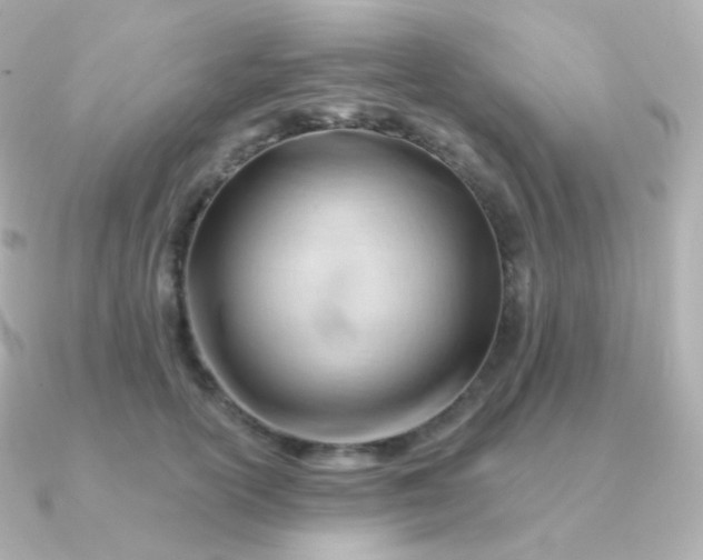 X0000090890754200708101402