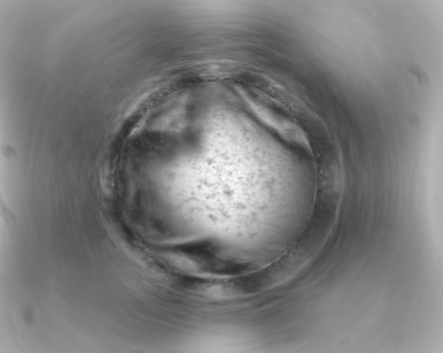 X0000090890755200708101402