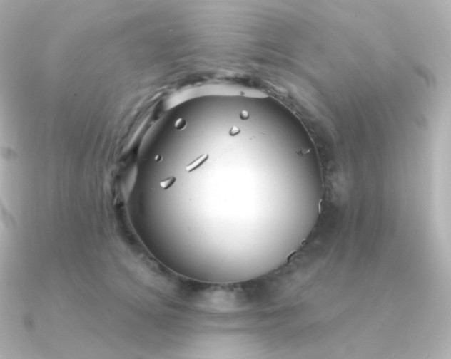 X0000090890756200708101402