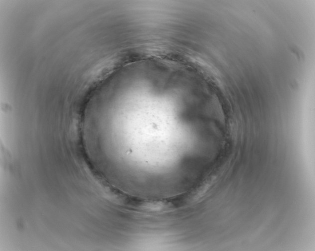 X0000090890757200708101402