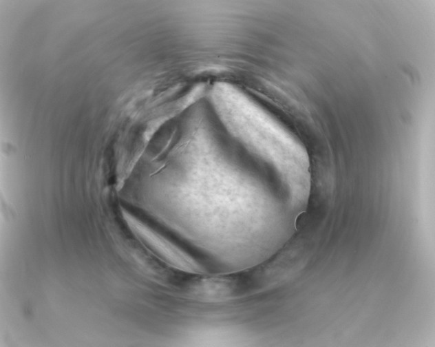 X0000090890758200708101402