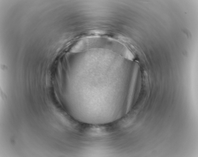 X0000090890760200708101402