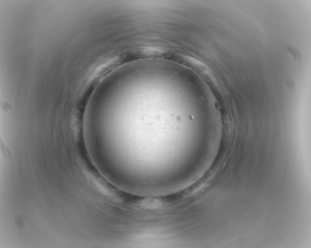 X0000090890762200708101402