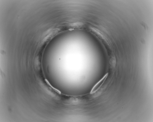 X0000090890764200708101402