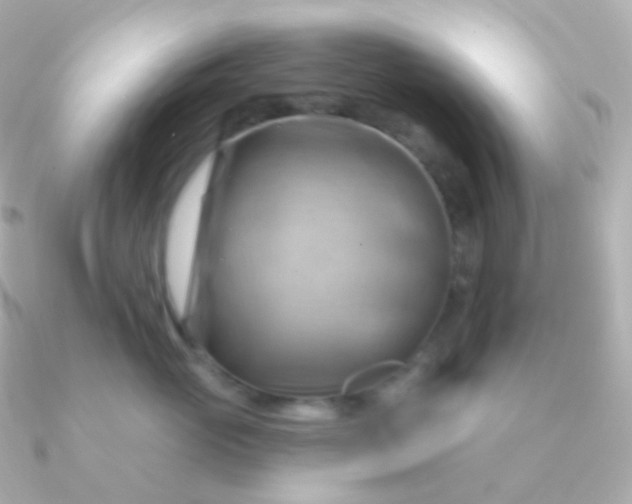 X0000090890765200708101402