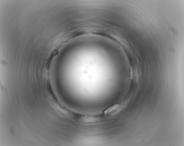 X0000090890766200708101402