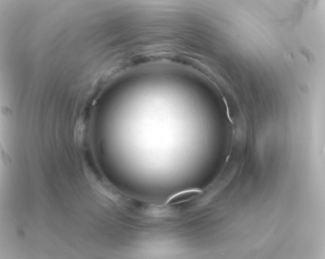 X0000090890767200708101402