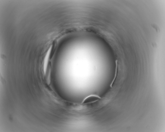 X0000090890768200708101402