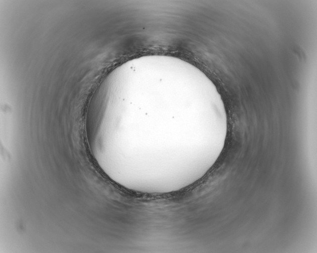 X0000090890769200708101402