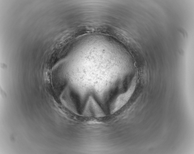 X0000090890770200708101402