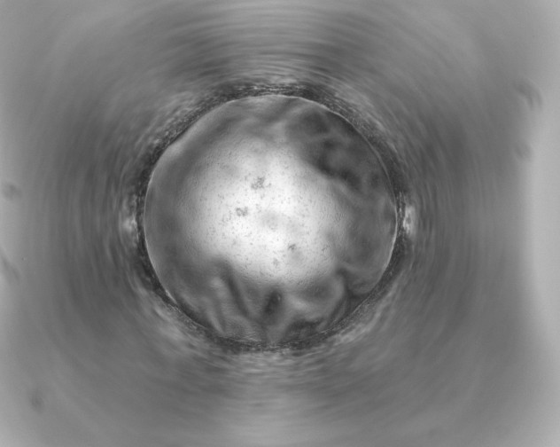 X0000090890771200708101402