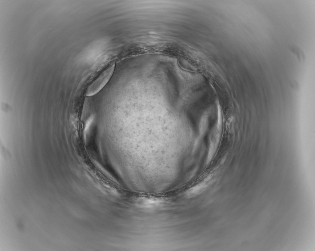 X0000090890772200708101402