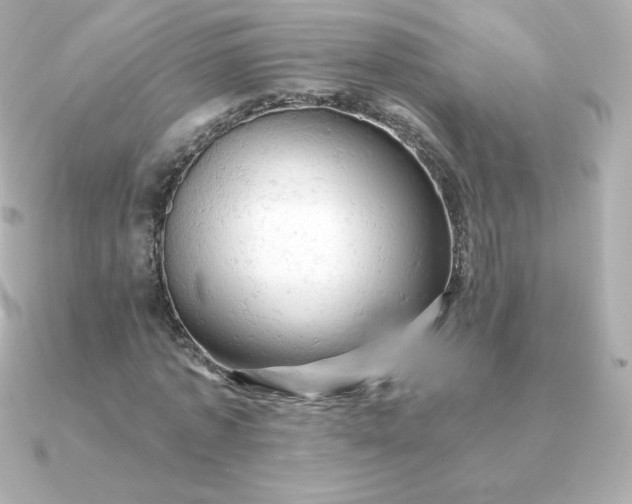 X0000090890773200708101402