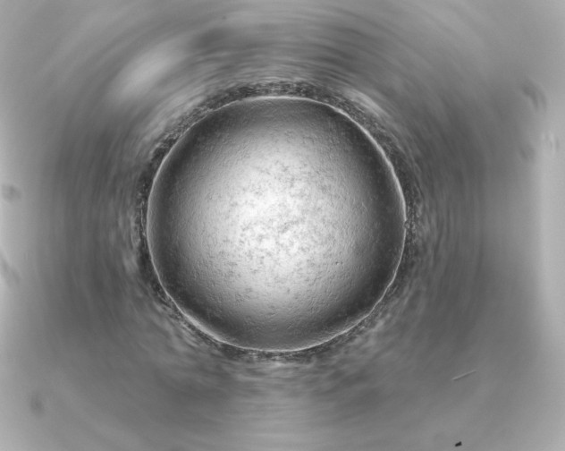 X0000090890774200708101402