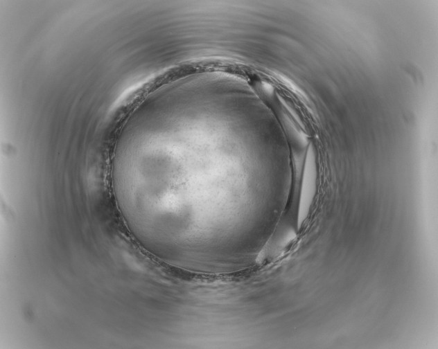 X0000090890775200708101402