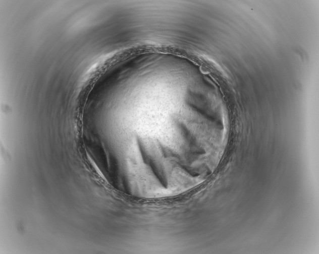 X0000090890776200708101402