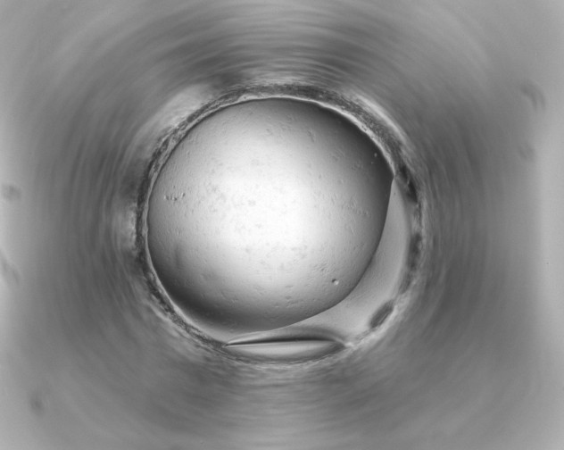 X0000090890777200708101401