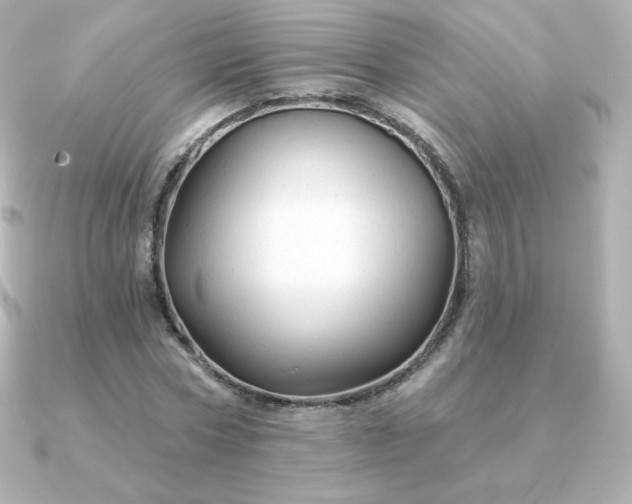 X0000090890778200708101401