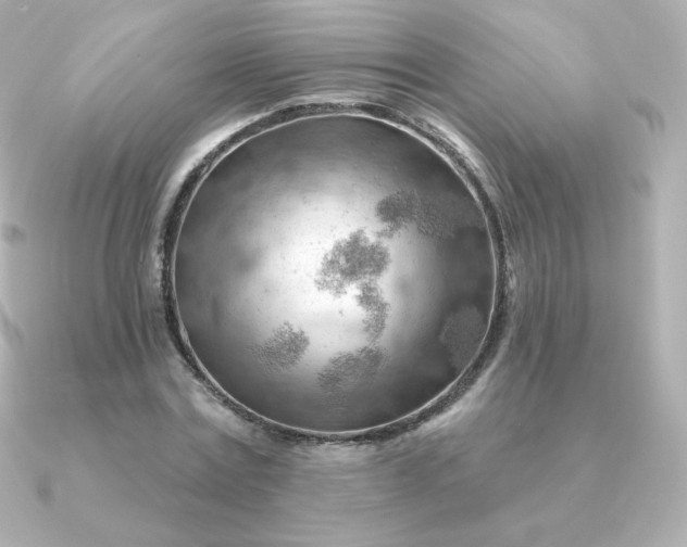 X0000090890779200708101401