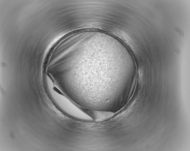 X0000090890780200708101401