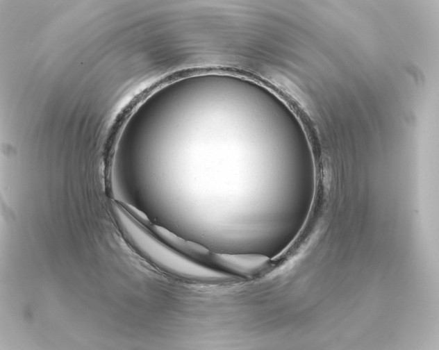 X0000090890781200708101401