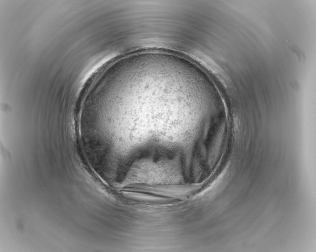 X0000090890782200708101401