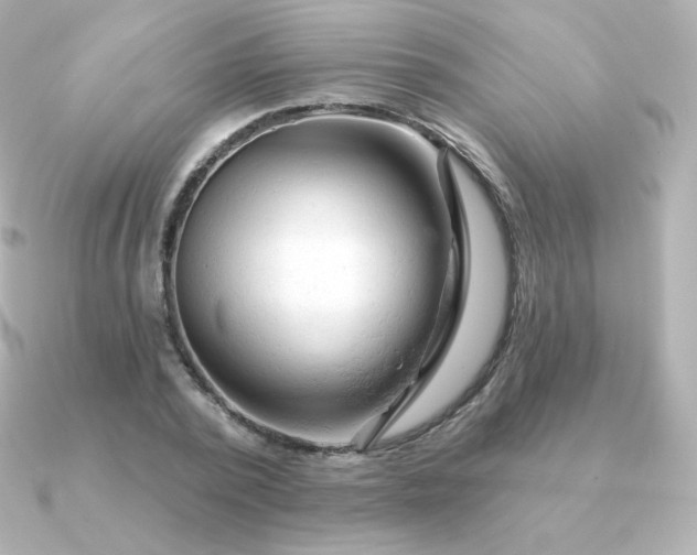 X0000090890784200708101401