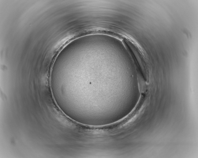 X0000090890785200708101401