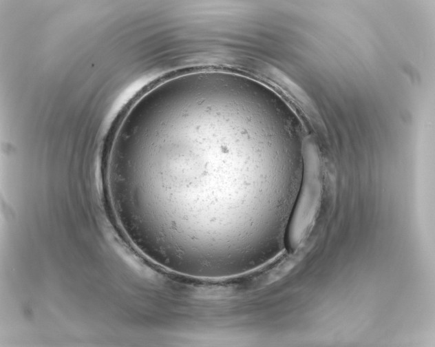 X0000090890788200708101401