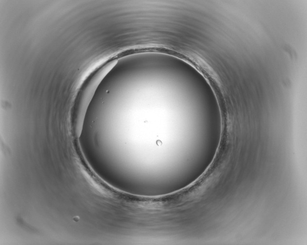 X0000090890789200708101401