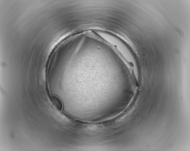 X0000090890790200708101401