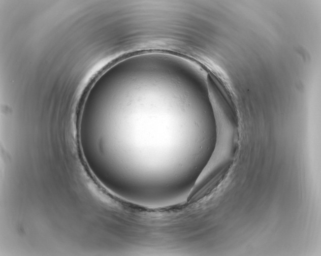 X0000090890792200708101401