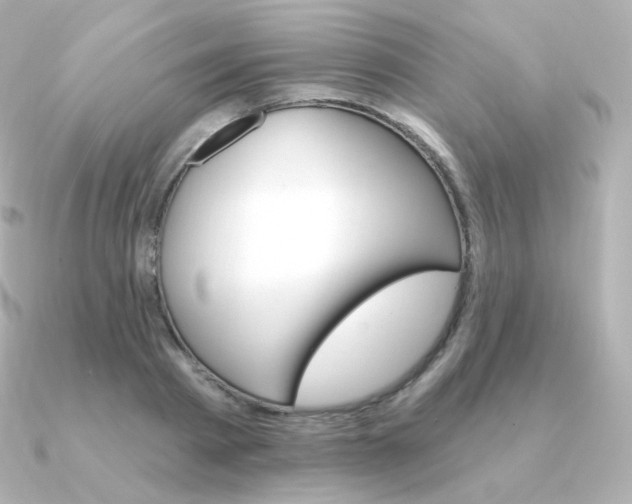 X0000090890793200708101401