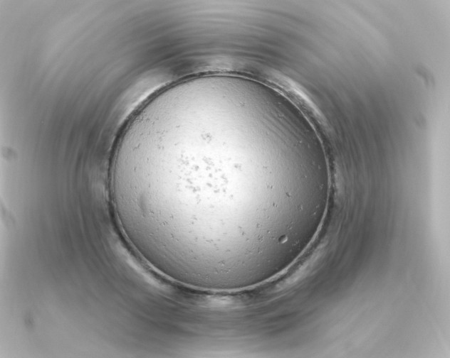 X0000090890794200708101401