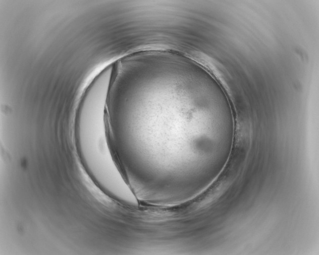 X0000090890795200708101401