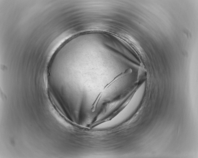 X0000090890796200708101401