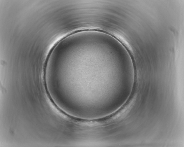 X0000090890797200708101401