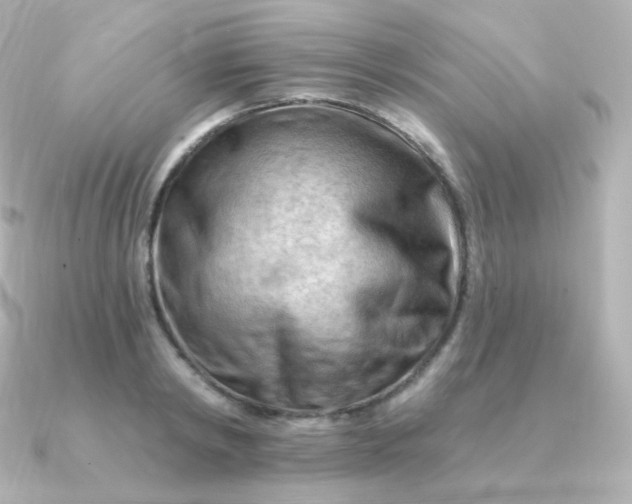 X0000090890798200708101401