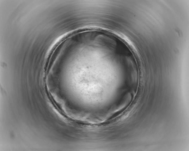 X0000090890799200708101401