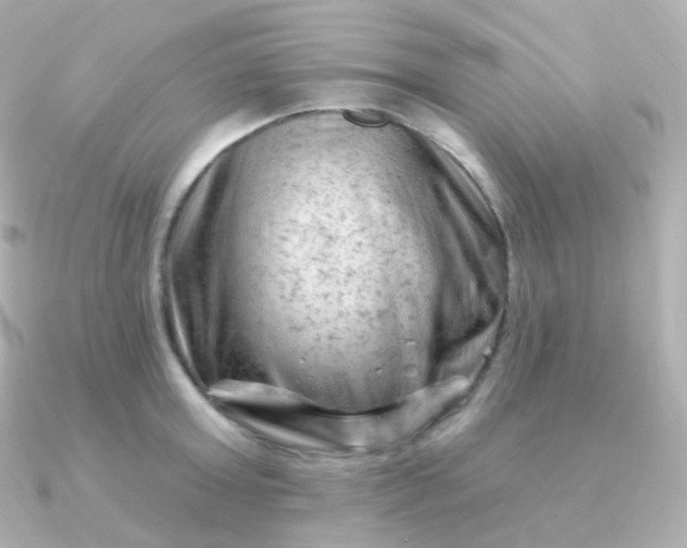 X0000090890803200708101401