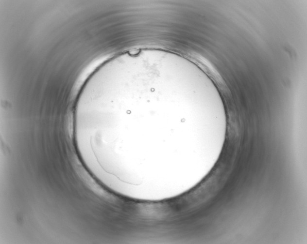 X0000090890804200708101401