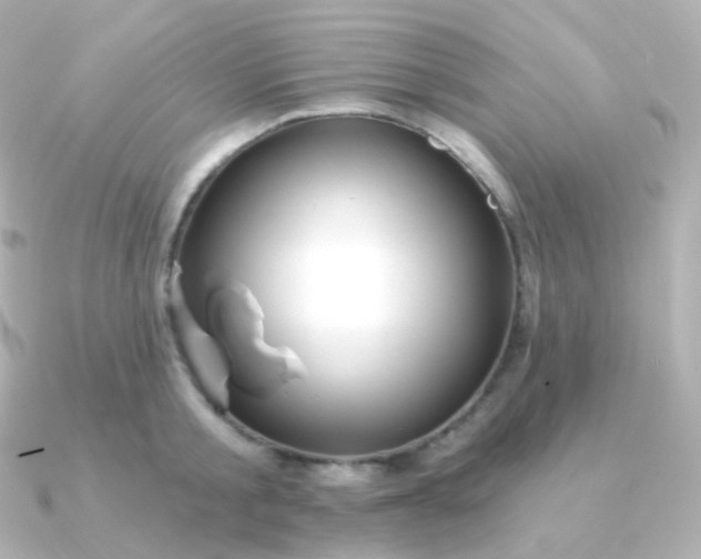 X0000090890805200708101401