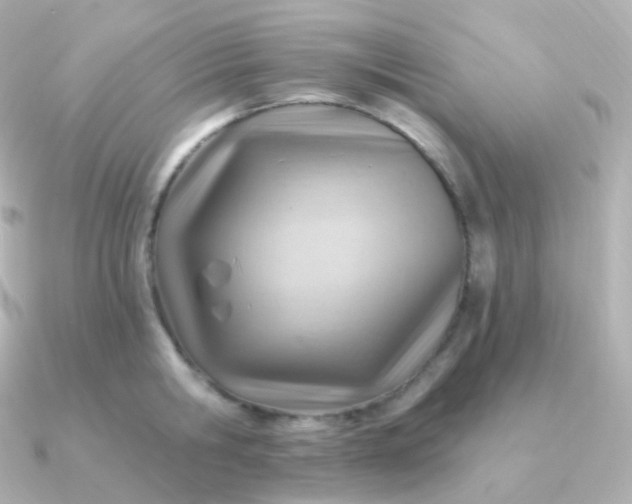 X0000090890806200708101401