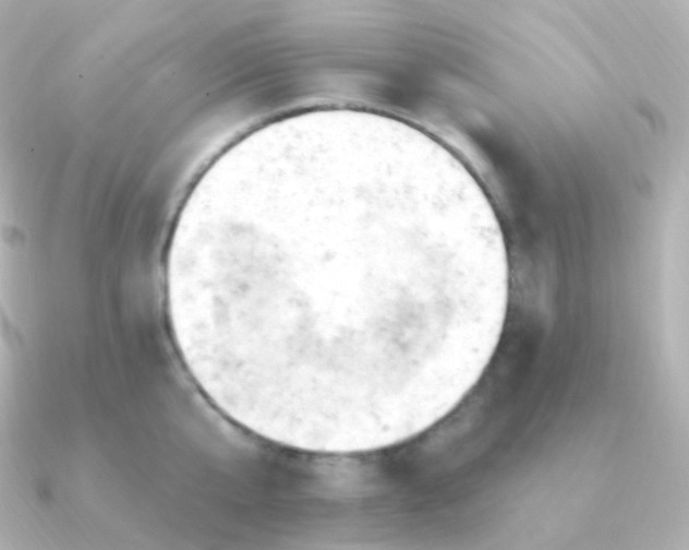 X0000090890807200708101401