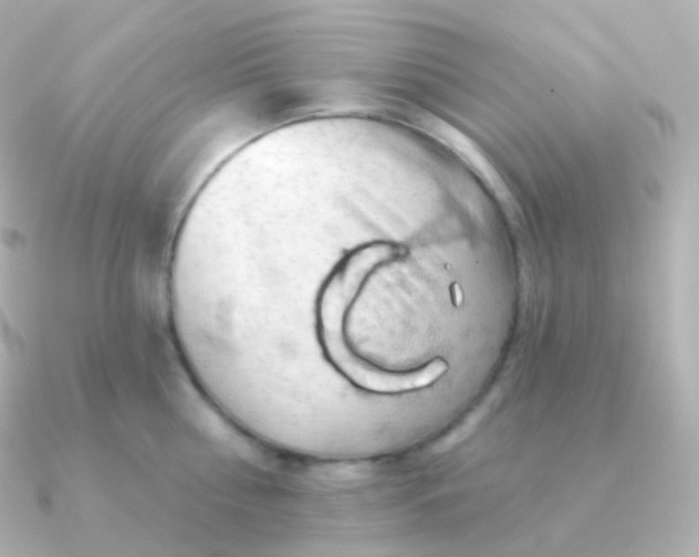 X0000090890810200708101401