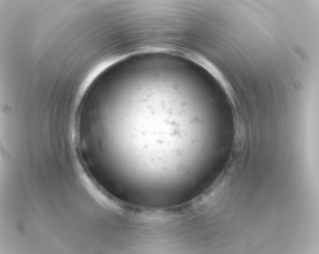 X0000090890811200708101401